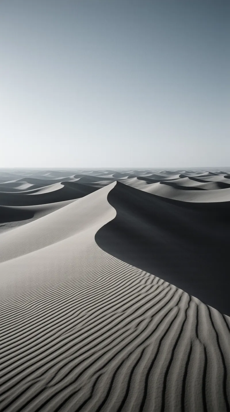 A vast desert landscape featuring rolling sand dunes with distinct shadows cast by the sun across the textured surface.