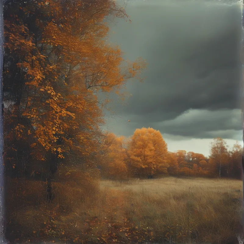 Bright orange trees stand in a field while dark heavy clouds cover the sky above the landscape creating a moody atmosphere.