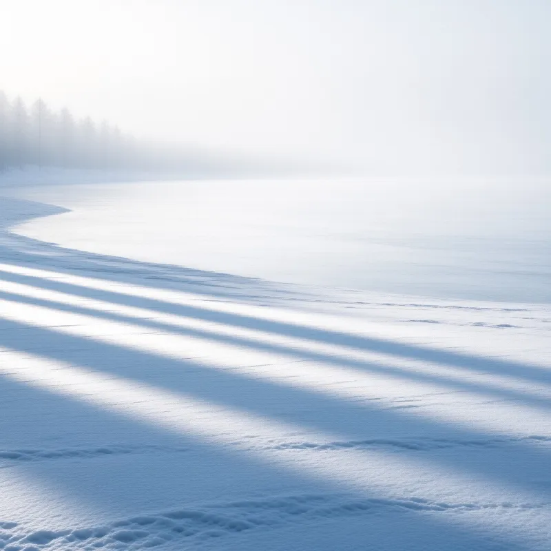 A frozen lake covered in white snow shows long blue shadows cast by trees standing in the foggy distance.