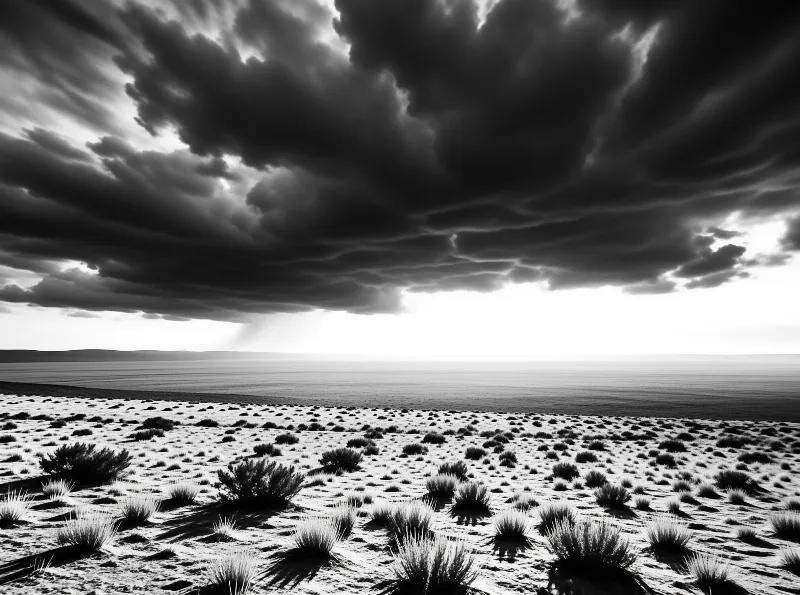 A monochrome landscape showing heavy storm clouds looming over a flat salt plain dotted with sparse desert vegetation.
