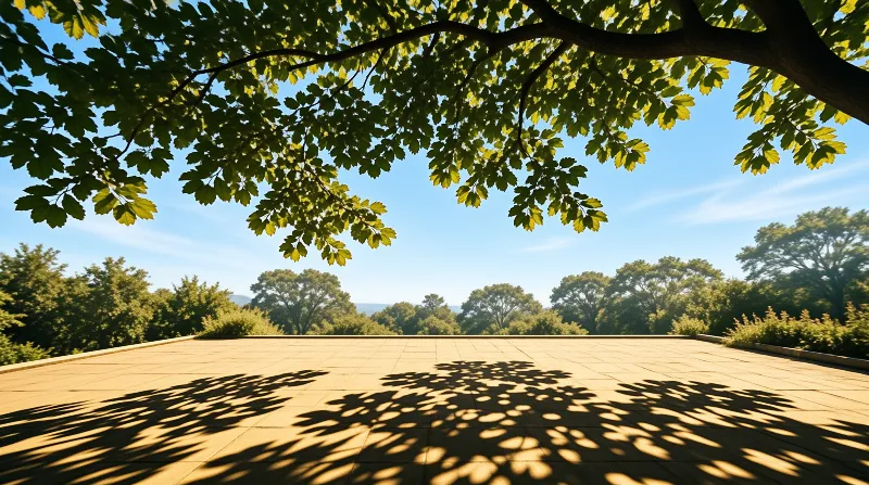 A paved open area shows distinct leaf shadows on light stones while overlooking a forest horizon under a clear blue sky.