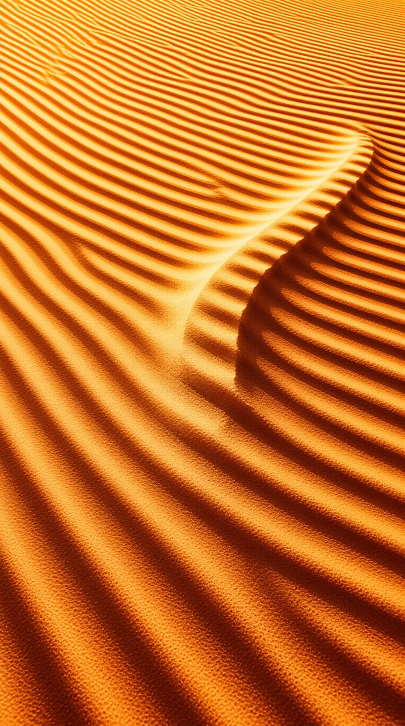 Desert sand dunes have parallel ridges, warm orange light creates clear contrast between raised crests and shadowed valleys.