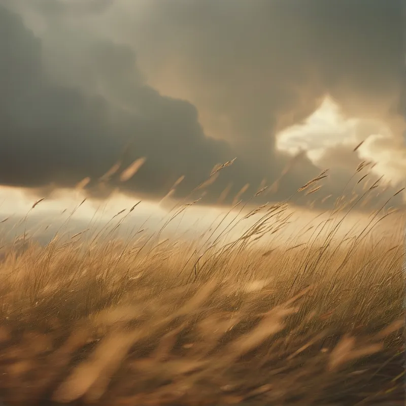 Tall golden grasses bend sharply in the wind against heavy grey clouds and a bright patch of sunlight.