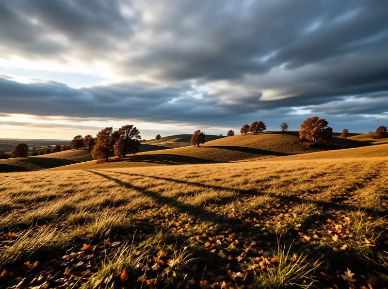 Rolling Hills at Sunset