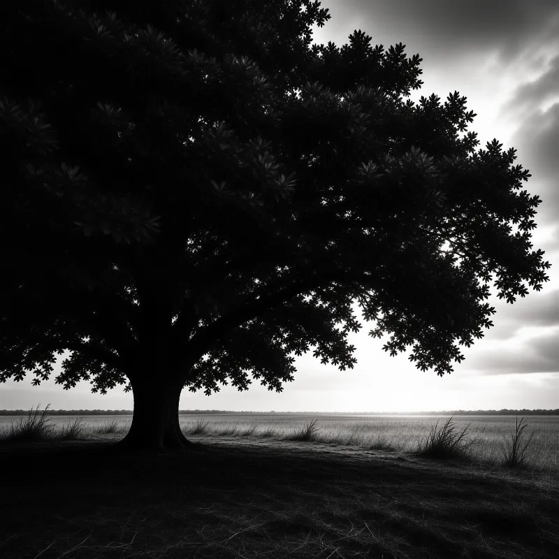 A massive dark oak stands in silhouette against a wide empty field under heavy grey clouds