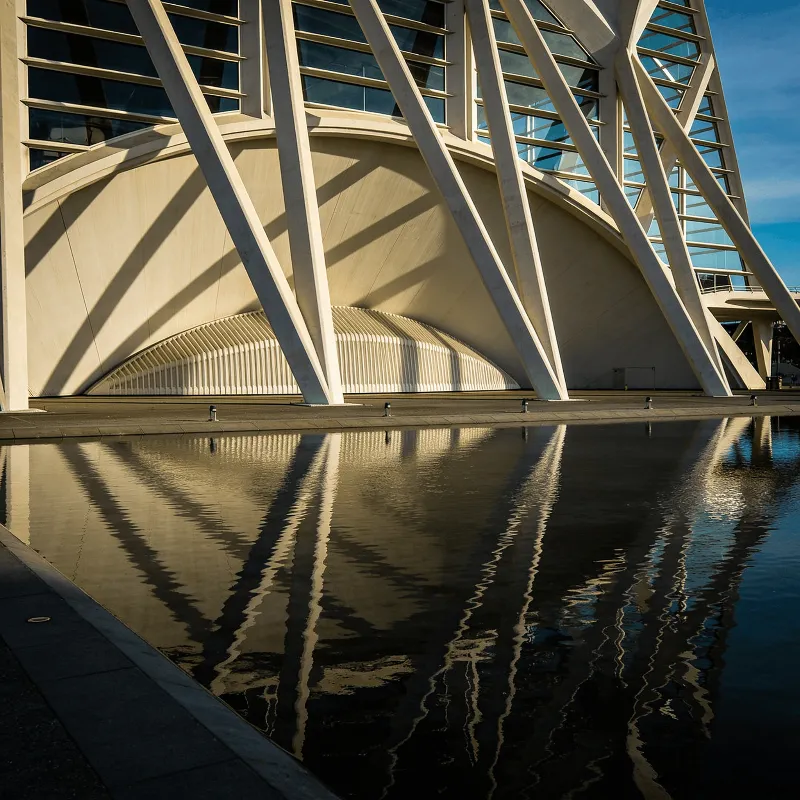 Museum with Tensile Structure — Reflecting Pool