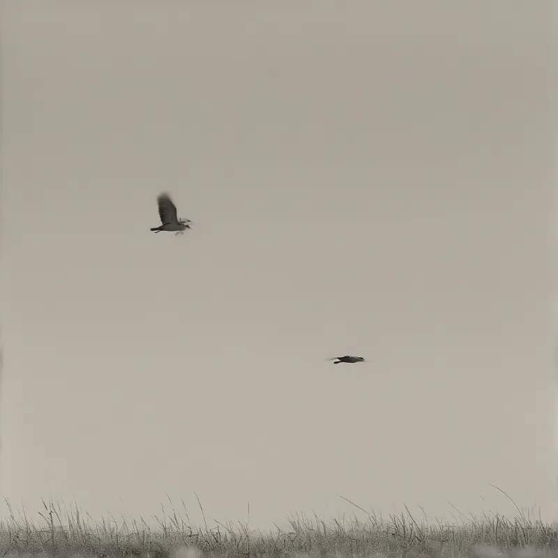 Two herons fly high above a hazy, pale sepia landscape with tall grasses along the bottom edge.