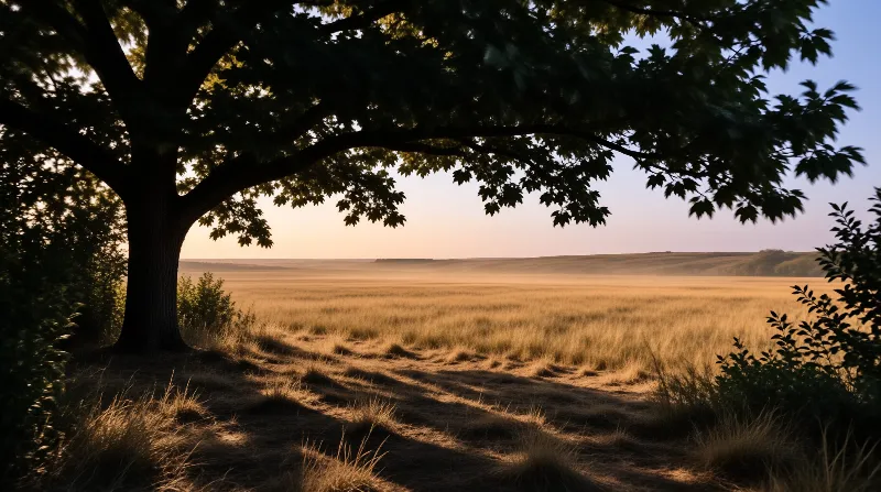 A large dark tree stands on the left casting long shadows over a field of golden grass under a soft pastel sky.