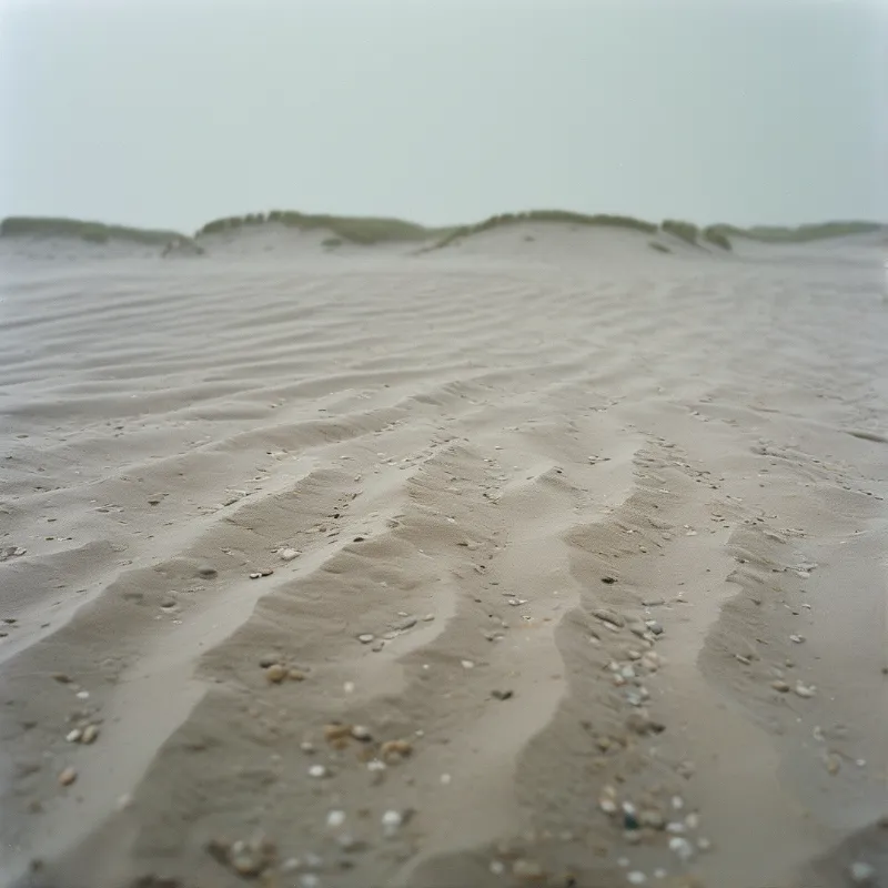 Textured sand ripples dotted with small pebbles stretch towards distant dunes under a hazy grey sky.