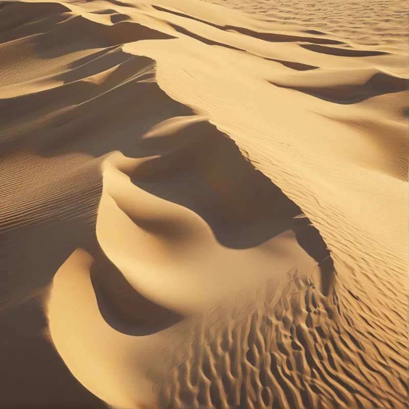 Golden Sand Dunes