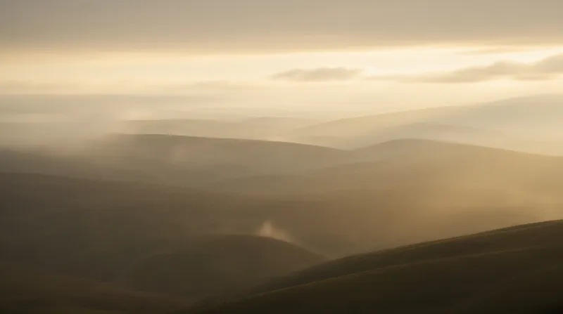 Misty Desert Dunes
