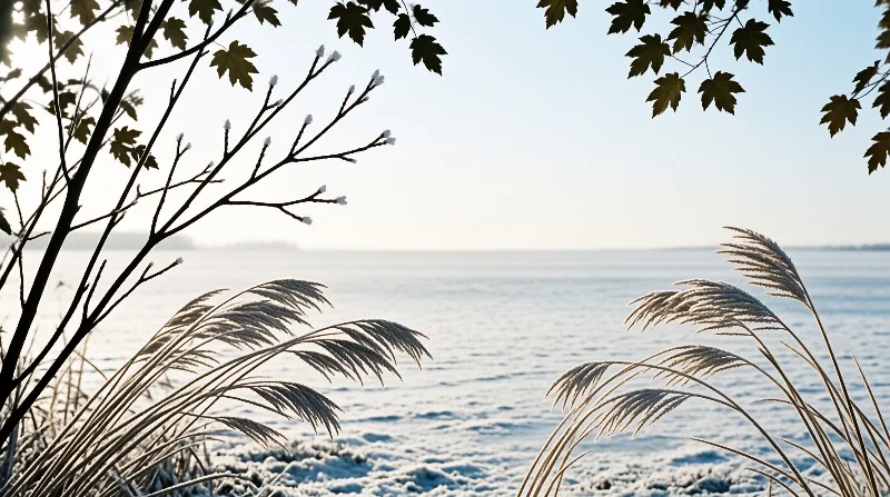 Tall frost covered reeds and dark leafy branches frame a wide expanse of sunlit frozen lake water.