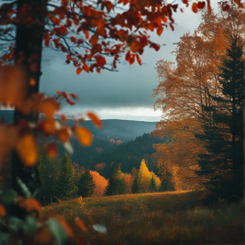Blurry orange leaves frame a valley of golden trees and evergreens leading to misty mountains beneath a cloudy sky.