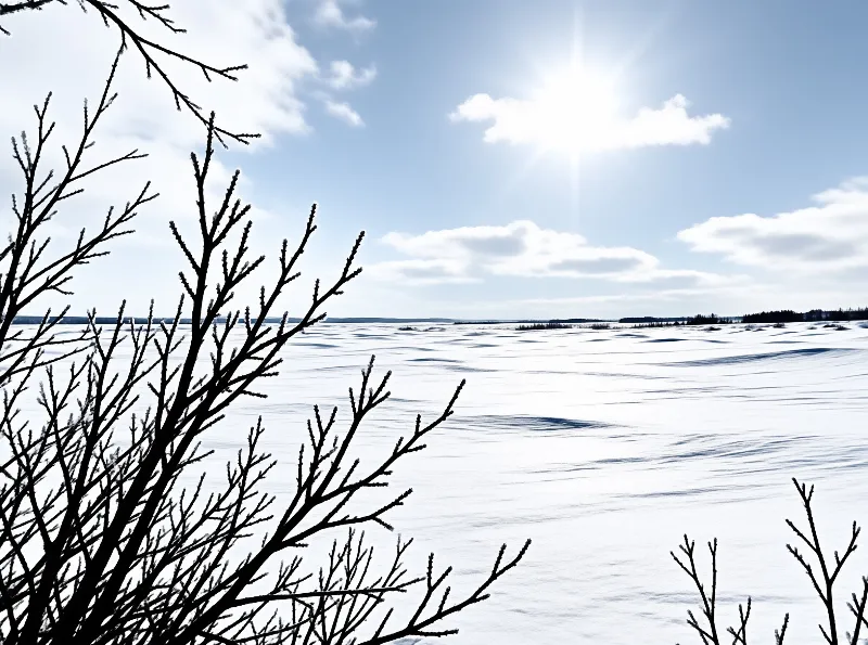 Dark bare branches frame a vast snowy expanse under a bright blue sky with scattered clouds and a shining sun.