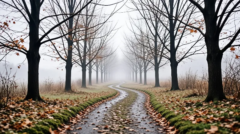 A wet path curves between rows of leafless trees as dense fog hides the horizon and scattered leaves blanket the grass.