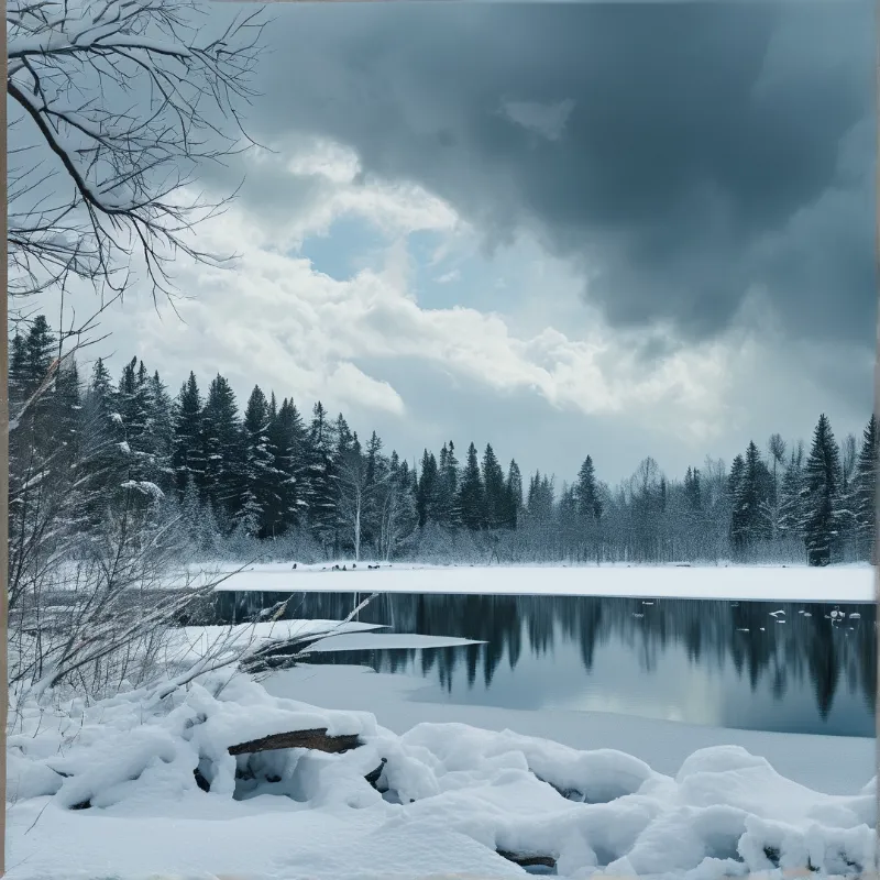 Winter Landscape with Forest