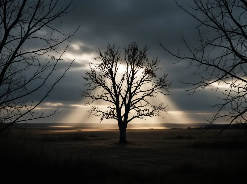 A lone leafless tree stands in silhouette as golden sunbeams break through heavy dark clouds over an open field