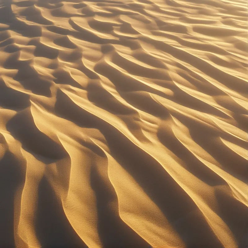 Sand Dune Ripples