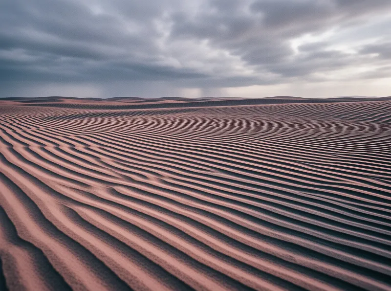 Windswept sand dunes show ripple patterns across the desert floor beneath thick grey clouds.