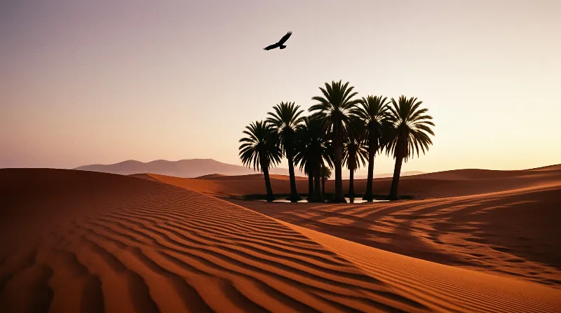 A cluster of palm trees silhouetted against a gradient sky above rippled orange sand dunes with a bird flying.