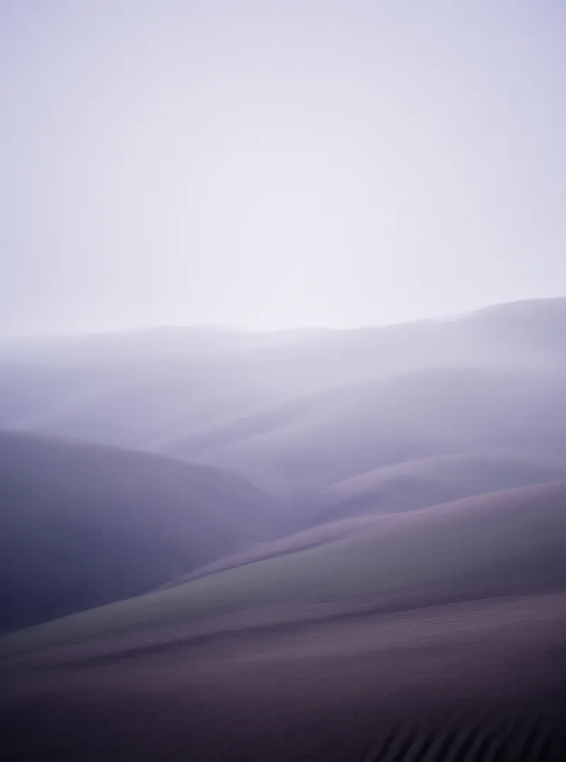 Misty Purple Sand Dunes