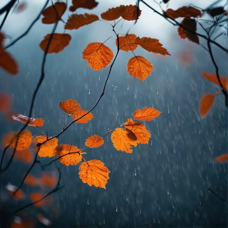 Bright orange foliage remains on thin branches while heavy rain falls against a cool blue backdrop.