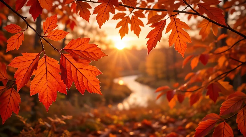 Golden Autumn Leaves