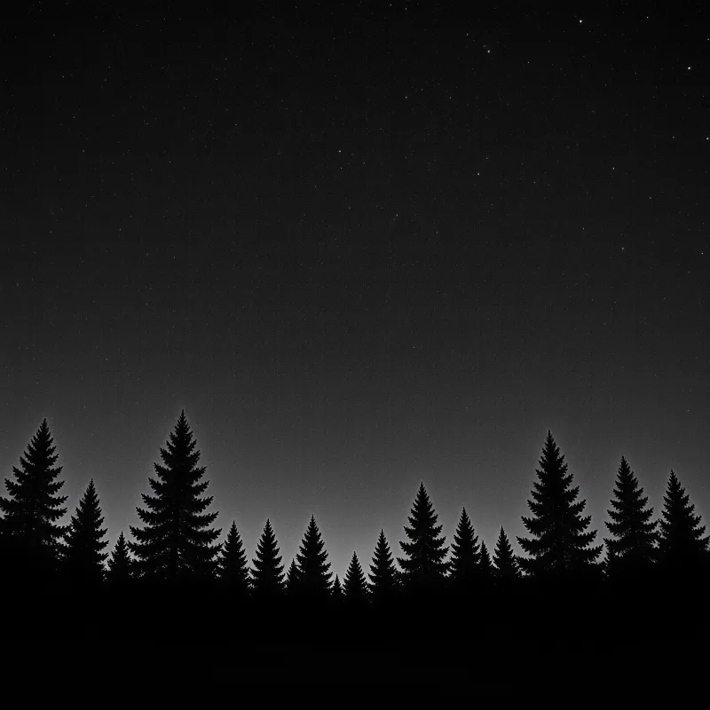 Conifer silhouettes sit at the bottom of the frame against a starry night sky that fades to light grey near the horizon.
