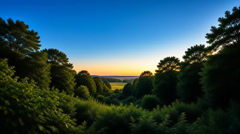 Lush green trees line both sides of the frame, opening up to a distant field and orange horizon under a vast blue sky.