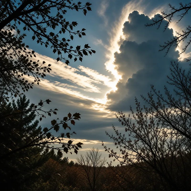 Sunlight rim lights a massive cloud while silhouetted trees frame the bottom and sides of the sky view.