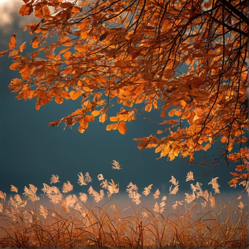 Orange maple branches spread across a deep blue sky, with pale brown backlit reeds framing the bottom of the composition.