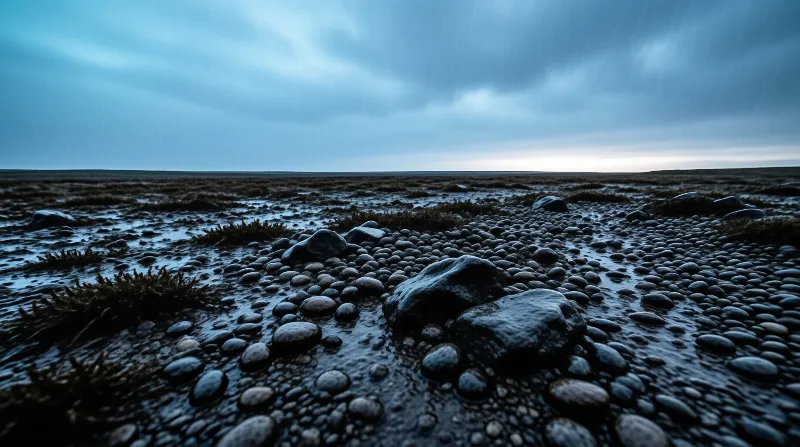 Low angle view of a rocky shore covered in smooth stones and seaweed under a dark cloudy sky