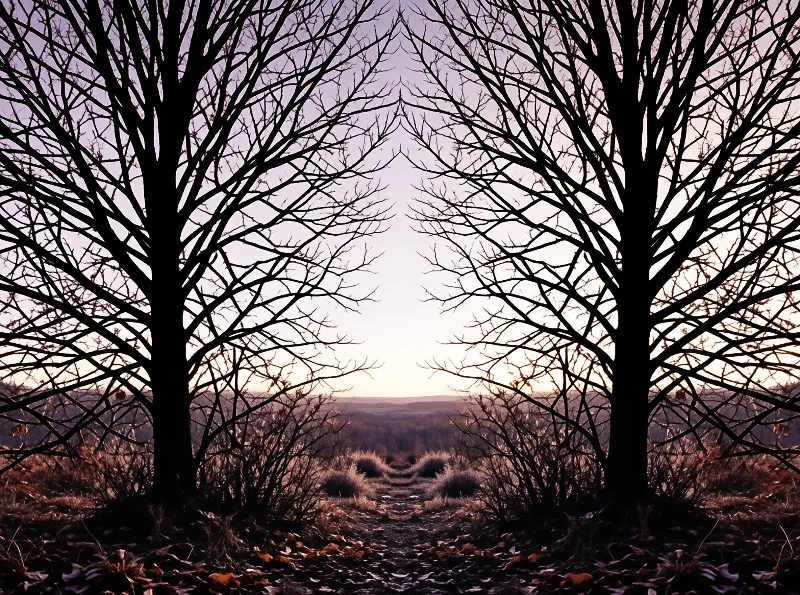Two dark leafless trees form a natural arch over a dry path leading to a distant horizon under a soft gradient sky.