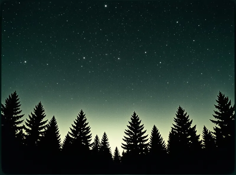 A dark forest of coniferous trees forms a jagged silhouette against a glowing horizon while countless stars scatter across the deep teal night sky.