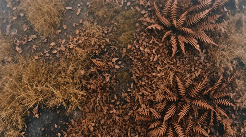 A closeup shot of rusty brown fern fronds and tufts of dry yellow grass lying on dark earth with a little green moss.