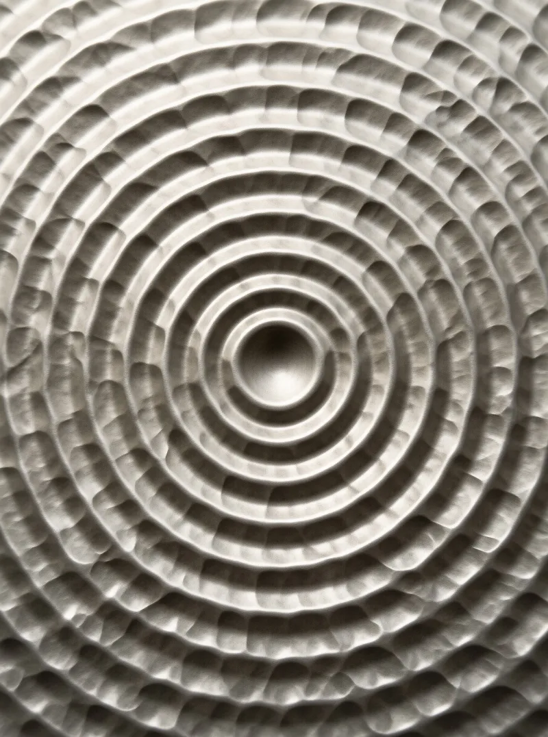 Grayscale texture featuring numerous circular ridges spiraling outward from a deep dark center point.