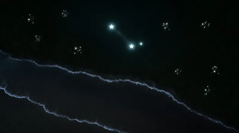 Clustered bright stars glow in the dark sky above white ocean foam washing the beach.