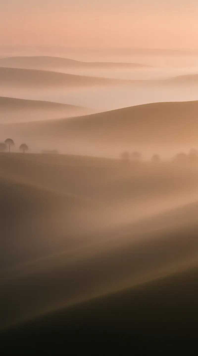 Misty Rolling Hills