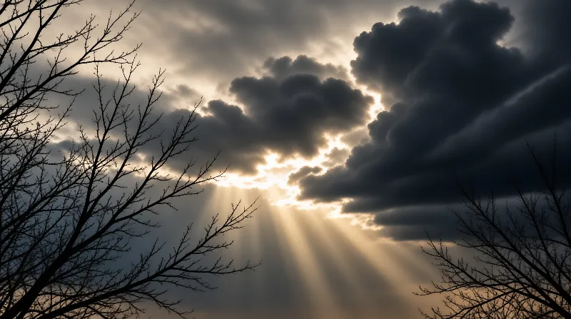 Golden light streams through a break in heavy dark clouds as bare tree branches silhouette against the sky.