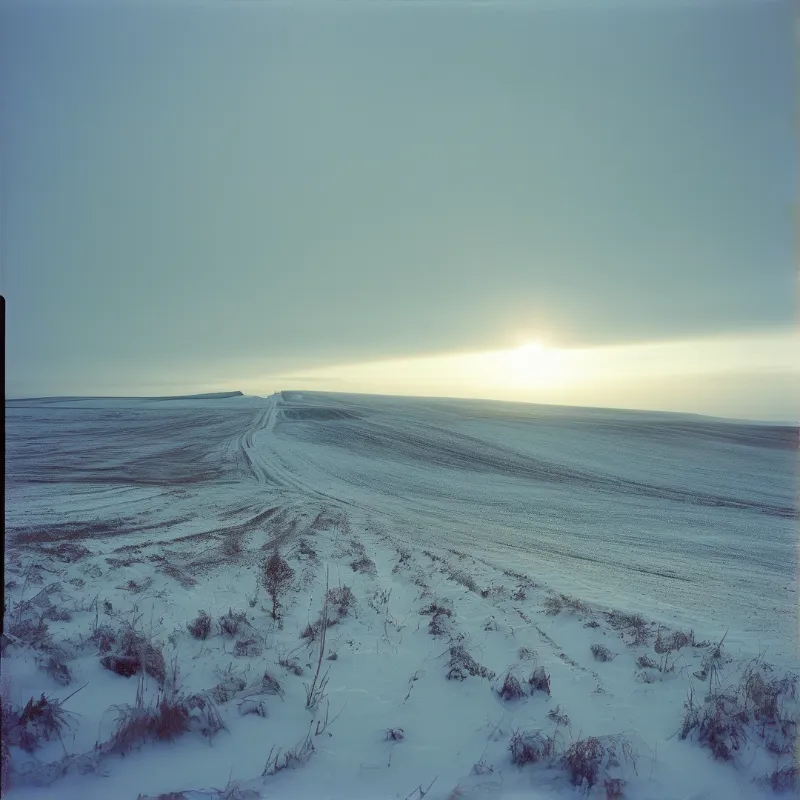 Snow blanketed tundra stretches beneath a low pale sun, a worn track runs across the frozen grassland to the far horizon.