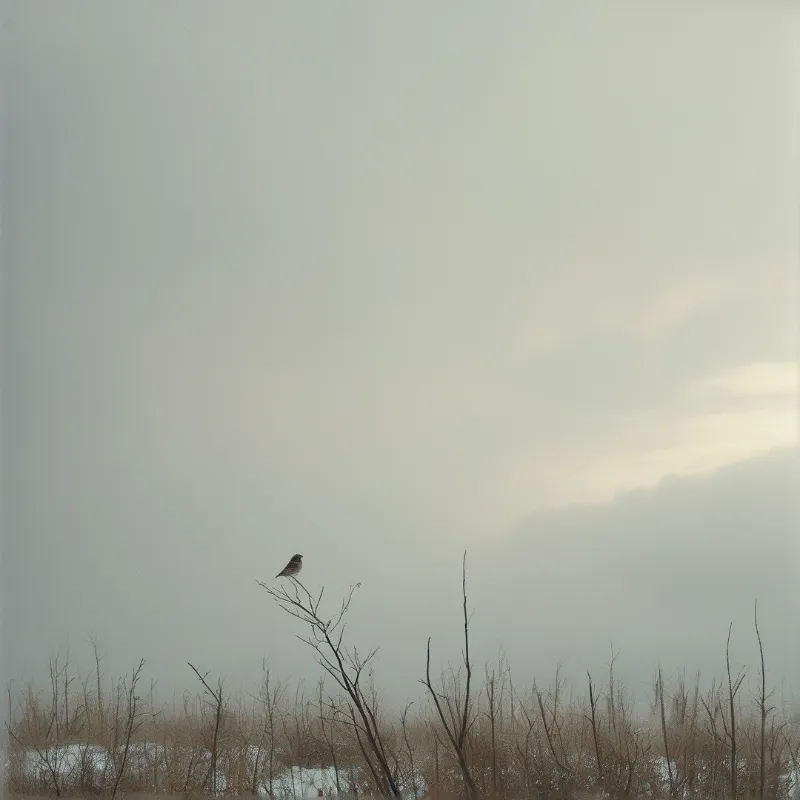 A small bird rests on a lonely branch surrounded by dry brush and thick atmospheric haze.