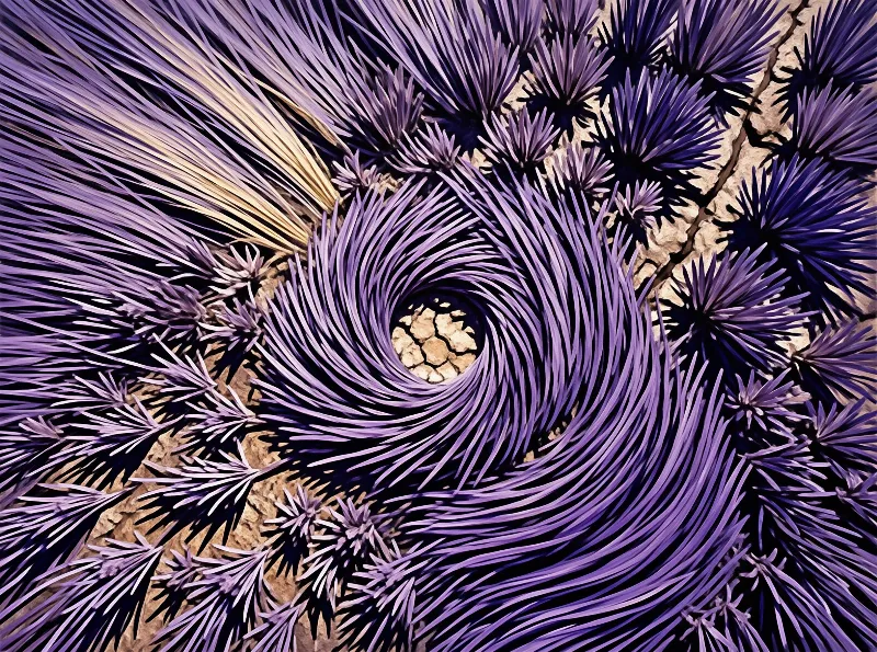 A hypnotic field of purple grass curves into a central sandy vortex creating a surreal spiral pattern.