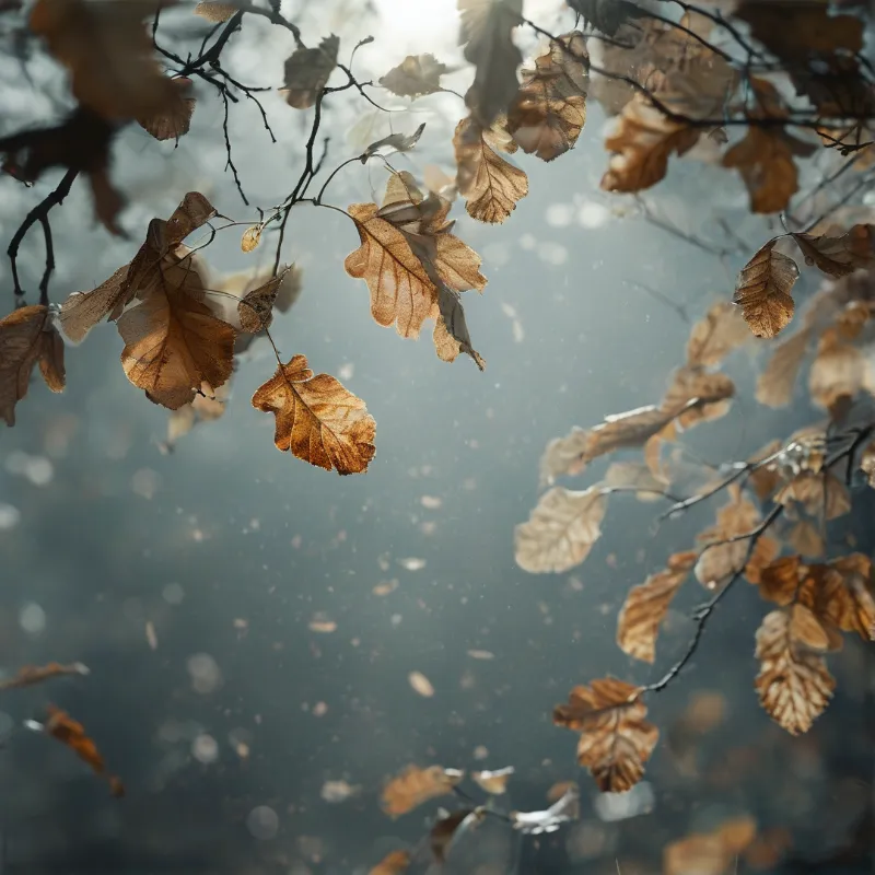 Dried brown oak leaves hang from thin branches while soft white particles drift through a hazy blue atmosphere.