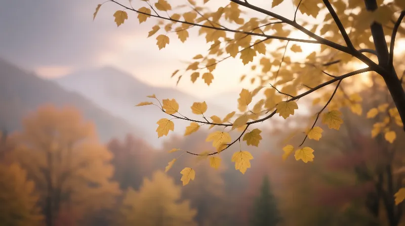 Autumn Tree Branch