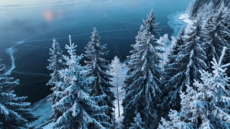 Winter Wonderland in Blue Hour Light