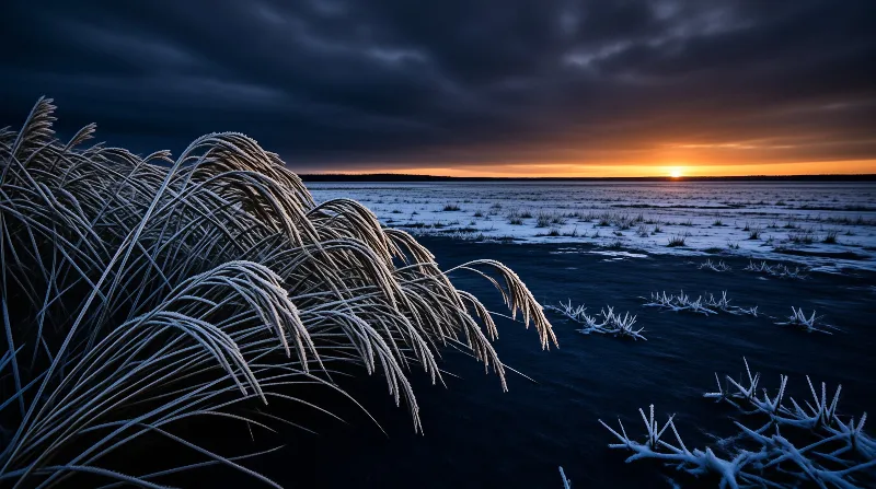 Icy feathery reeds bend in the foreground while the sun sets over a frozen snow dusted lake.
