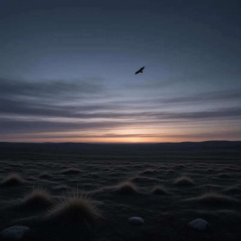 A lone raptor soars in the darkening sky above a shadowy grassland with scattered tufts of grass and hills on the horizon.
