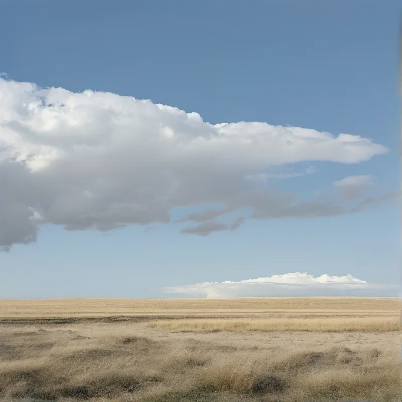 A massive white cumulus cloud stretches across a bright blue sky above an endless expanse of dry golden grass and sandy ground in a flat landscape.
