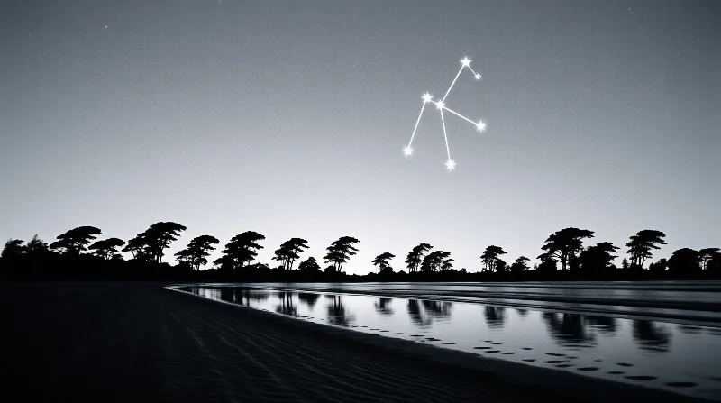 Dark trees line a reflective shore beneath a monochrome sky featuring a bright connected star pattern.