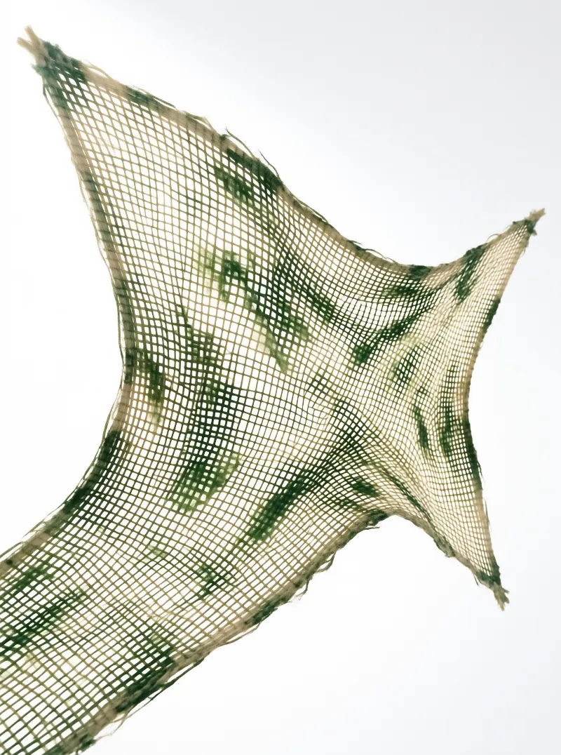 A translucent net with green brushstrokes suspended in plain white space
